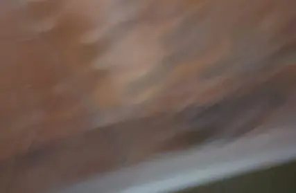 Imagem: Apartamento para Venda, Guapira