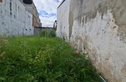 Imagem: Terreno para Alugar, Vila Constança