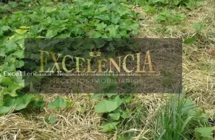 Imagem: Casa Térrea para Venda, Vila Nova Mazzei