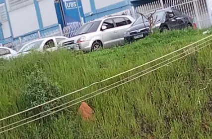 Imagem: Apartamento para Venda, Vila Brasilândia