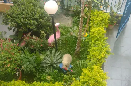 Imagem: Apartamento para Venda, Jardim Vista Alegre