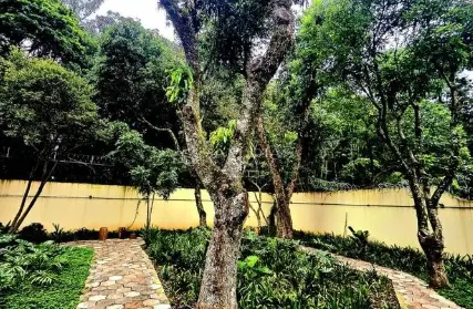 Imagem: Apartamento para Venda, Vila Amália (Zona Norte)