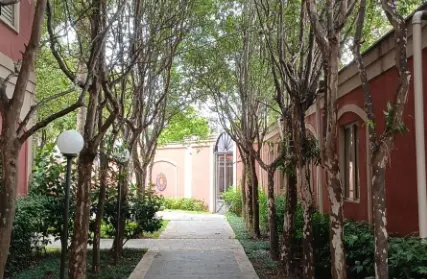 Imagem: Apartamento para Alugar, Lauzane Paulista