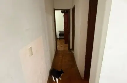 Imagem: Apartamento para Venda, Parque Mandaqui