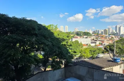 Imagem: Apartamento para Alugar, Jardim Paraíso