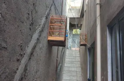 Imagem: Casa Térrea para Alugar, Vila Itaberaba