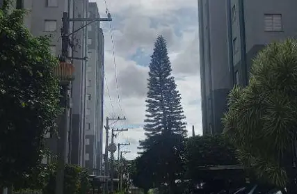 Imagem: Apartamento para Alugar, Freguesia do Ó