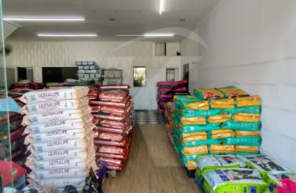 Imagem: Galpão / Salão para Alugar, Freguesia do Ó