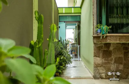 Imagem: Sobrado para Alugar, Freguesia do Ó