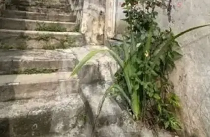 Imagem: Casa Térrea para Alugar, Vila Guilherme