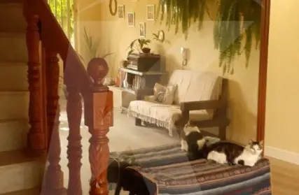 Imagem: Sobrado para Venda, Vila Guilherme