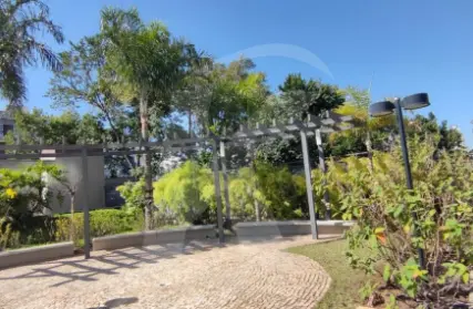 Imagem: Apartamento para Alugar, Vila Paiva
