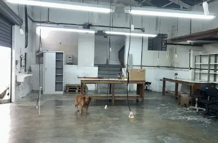 Imagem: Galpão / Salão para Alugar, Água Fria