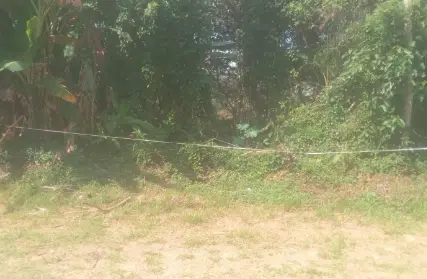 Imagem: Terreno para Venda, Serra da Cantareira
