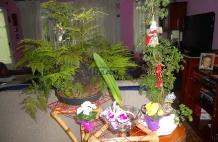 Imagem: Sobrado para Venda, Tremembé