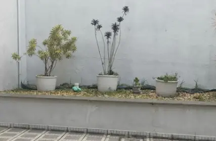 Imagem: Casa Térrea para Venda, Jardim França