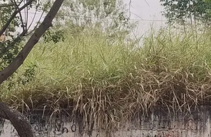 Imagem: Terreno para Venda, Tucuruvi