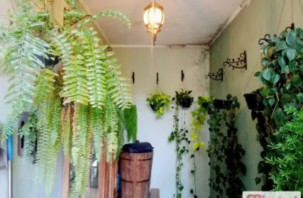 Imagem: Sobrado para Venda, Tucuruvi