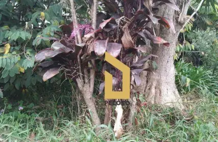 Imagem: Terreno para Venda, Jardim São Paulo