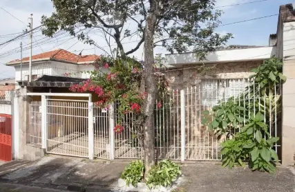 Imagem: Casa Térrea para Venda, Vila Palmeiras