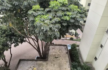 Imagem: Apartamento para Venda, Vila Palmeiras