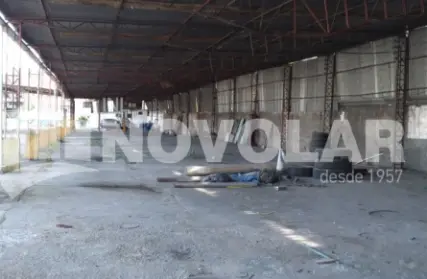 Imagem: Terreno para Alugar, Vila Guilherme