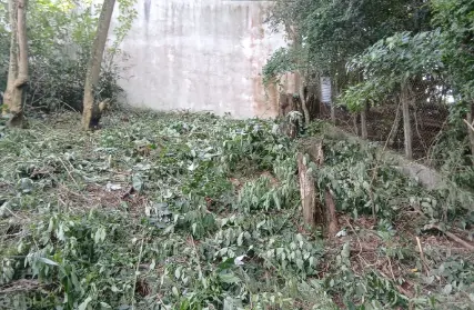 Imagem: Terreno para Venda, Tremembé