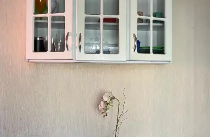 Imagem: Casa Térrea para Alugar, Vila Medeiros