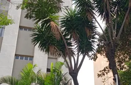 Imagem: Apartamento para Venda, Santa Teresinha