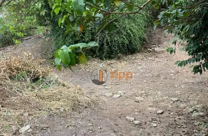 Imagem: Terreno para Venda, Sítio do Mandaqui