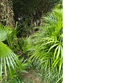 Imagem: Terreno para Venda, Vila Vitório Mazzei