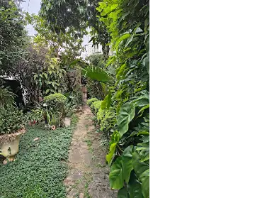 Imagem: Terreno para Venda, Vila Vitório Mazzei