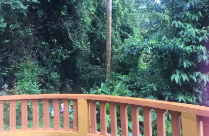 Imagem: Sobrado para Venda, Serra da Cantareira