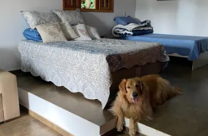 Imagem: Casa Térrea para Venda, Serra da Cantareira