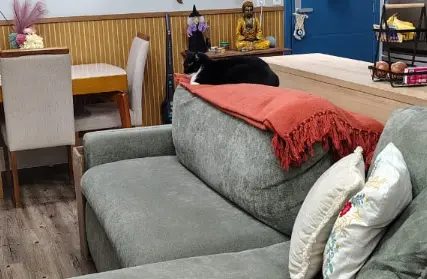 Imagem: Apartamento para Venda, Parada Inglesa