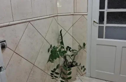 Imagem: Apartamento para Venda, Jardim São Paulo