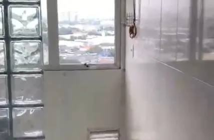 Imagem: Apartamento para Venda, Parque Novo Mundo