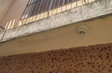 Imagem: Imóvel para Renda para Venda, Imirim