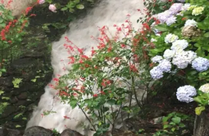 Imagem: Casa Térrea para Venda, Serra da Cantareira