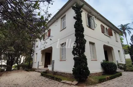 Imagem: Casa Comercial para Alugar, Vila Albertina