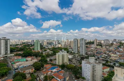 Imagem: Apartamento para Alugar, Vila Albertina