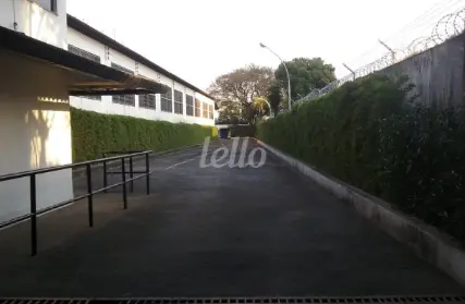 Imagem: Galpão / Salão para Alugar, Jardim Pereira Leite