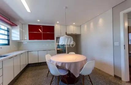 Imagem: Apartamento para Alugar, Vila Albertina