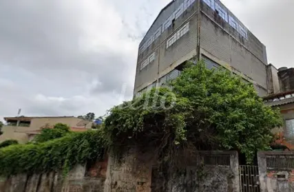 Imagem: Galpão / Salão para Alugar, Vila Aurora (Zona Norte)