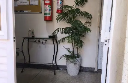 Imagem: Apartamento para Alugar, Tucuruvi
