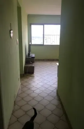 Imagem: Apartamento para Alugar, Tucuruvi