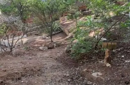 Imagem: Terreno para Venda, Tucuruvi