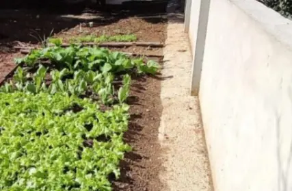 Imagem: Terreno para Venda, Tucuruvi