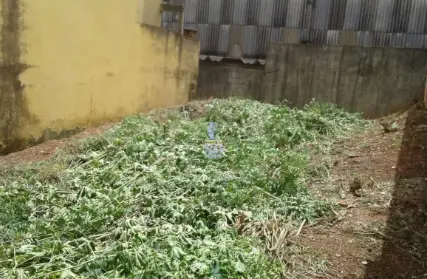 Imagem: Terreno para Venda, Jardim Labitary