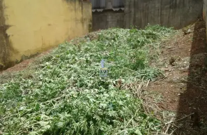 Imagem: Terreno para Venda, Jardim Labitary
